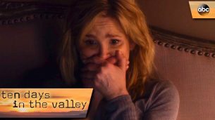 Ten Days in the Valley (2017)