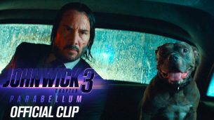 John Wick: Chapter 3 – Parabellum (2019)