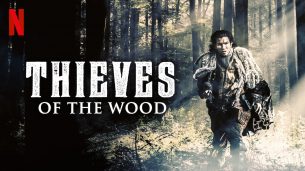 Thieves of the Wood (2020)