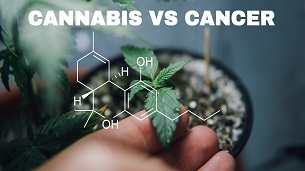 Cannabis vs. Cancer (2020)