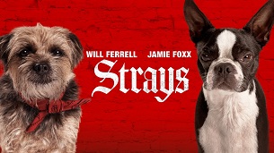 Strays (2023)