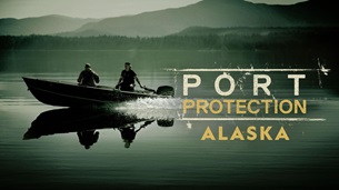Port Protection (2015)